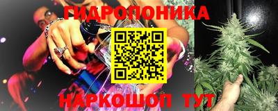 амф Шелехов