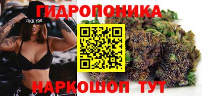 apvp Шахты