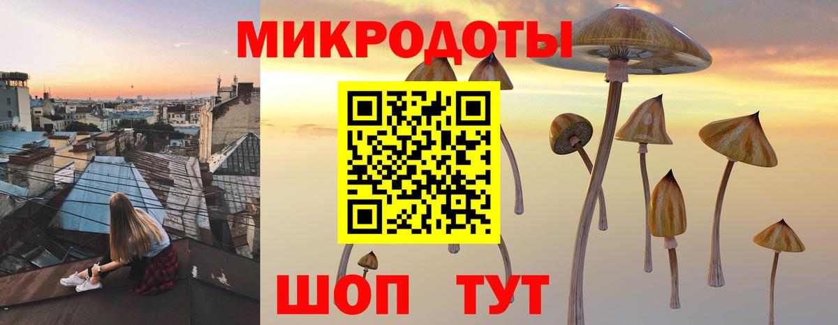 Галлюциногенные грибы Cubensis  Вход с VPN  Белая Калитва  Галлюциногенные грибы мицелий 